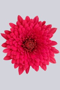 High resolution image 1
